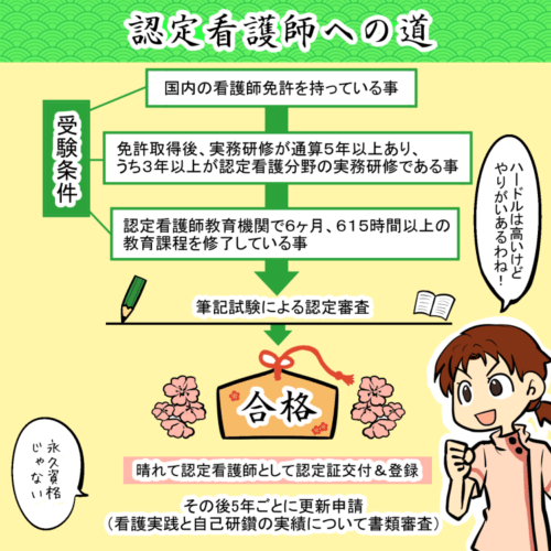 認定看護師と専門看護師の違いは？種類・人数・費用などを紹介！
